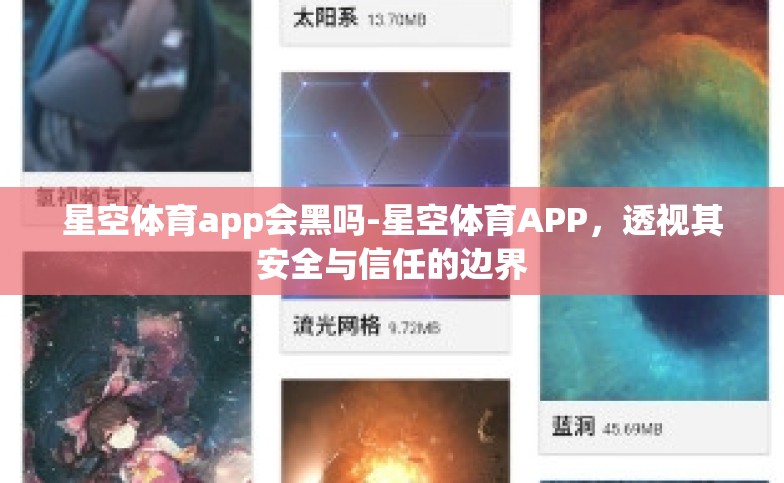 星空体育app会黑吗-星空体育APP，透视其安全与信任的边界