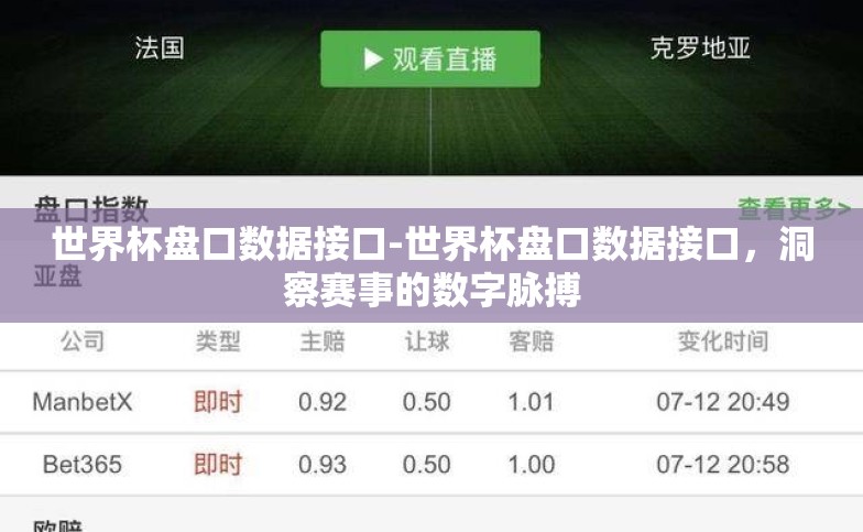 世界杯盘口数据接口-世界杯盘口数据接口，洞察赛事的数字脉搏