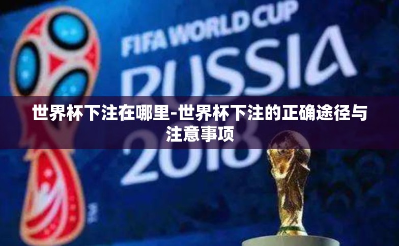 世界杯下注在哪里-世界杯下注的正确途径与注意事项 世界杯下注在哪里-世界杯下注的正确途径与注意事项