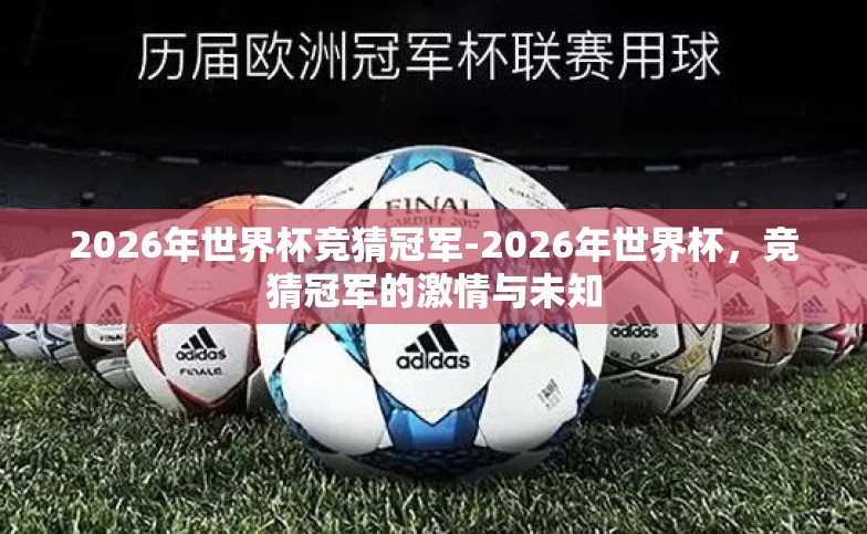 2026年世界杯竞猜冠军-2026年世界杯，竞猜冠军的激情与未知