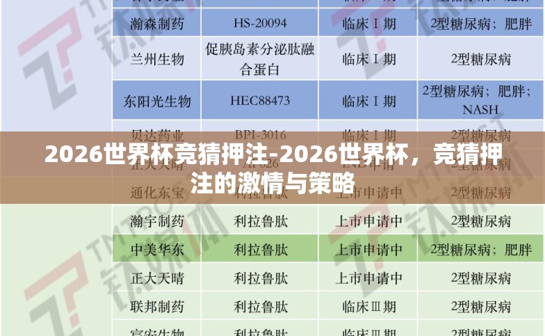 2026世界杯竞猜押注-2026世界杯，竞猜押注的激情与策略