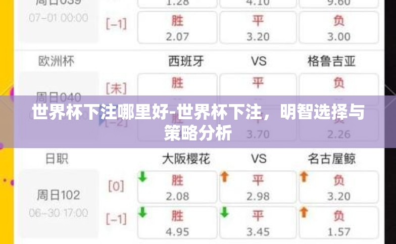 世界杯下注哪里好-世界杯下注，明智选择与策略分析