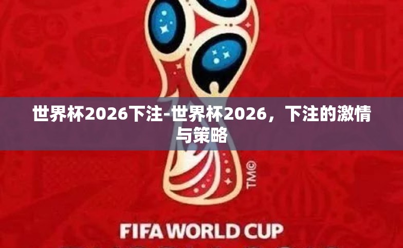 世界杯2026下注-世界杯2026，下注的激情与策略